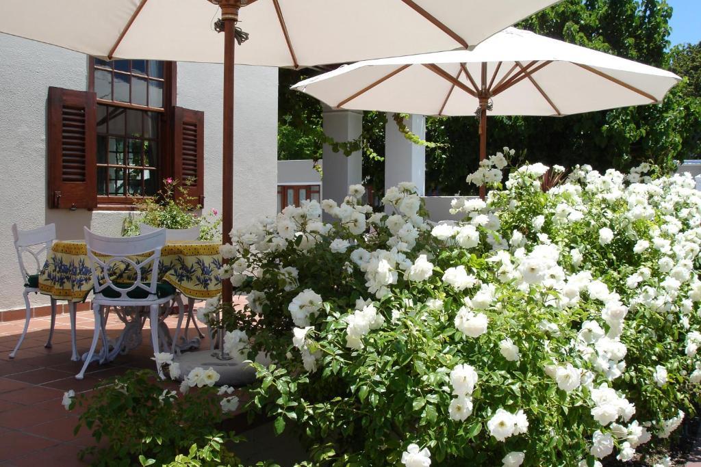 Glen Avon Lodge Boutique Hotel Kapstaden Eksteriør billede